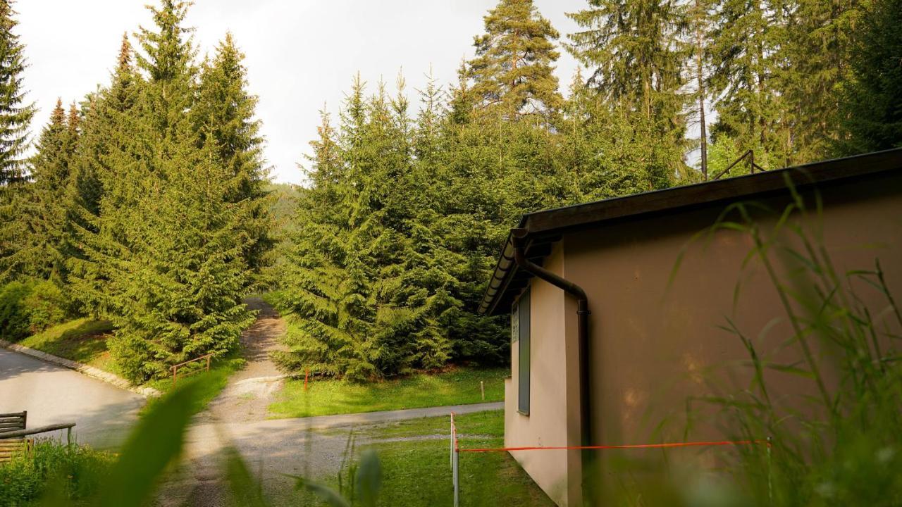 Ski House Jursport Závažná Poruba Eksteriør billede