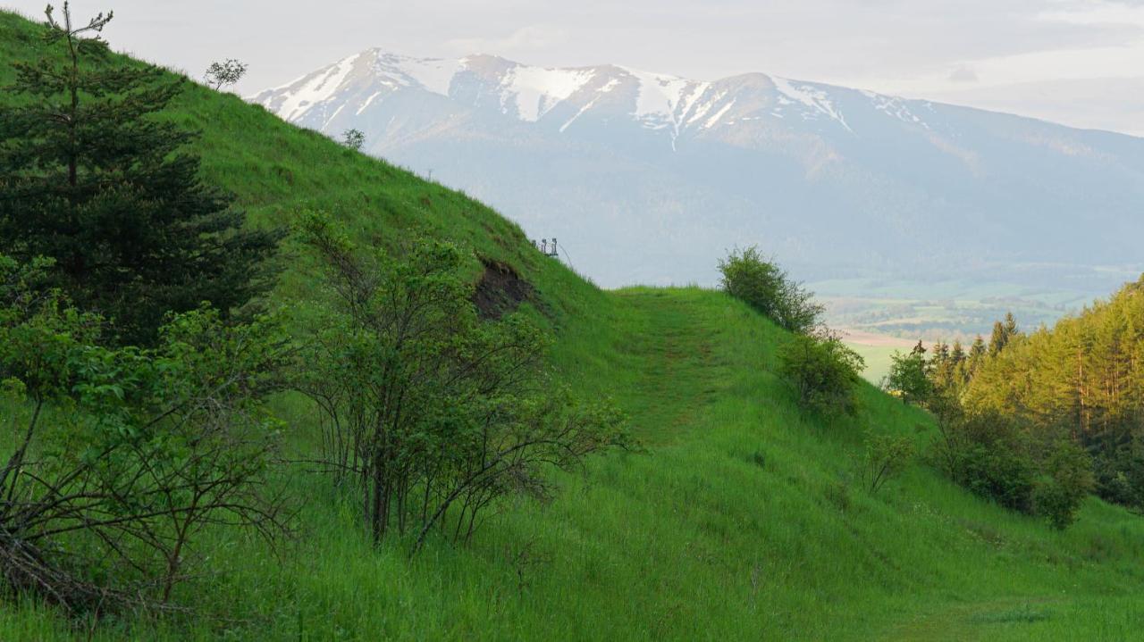 Ski House Jursport Závažná Poruba Eksteriør billede